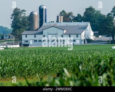 Boy Scoots, terres agricoles amish de Green Fields, comté de Lancaster, Pennsylvanie Banque D'Images