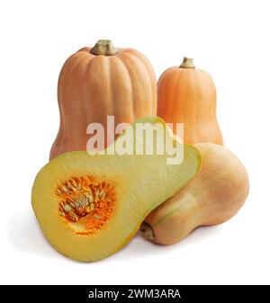 citrouilles orange fraîches. automne halloween. gros plan citrouille oblongue, fond alimentaire, récolte, légume végétarien, monticule de légumes, légumes de retour Banque D'Images