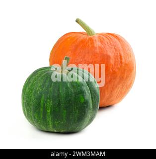Composition de différentes variétés de citrouilles. Légumes d'automne. Citrouille isolée. Décor d'Halloween avec diverses citrouilles, légumes d'automne et flux Banque D'Images