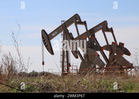 Falls City, États-Unis. 23 février 2024. Vérins de pompe à huile sur une plate-forme de puits près de la ville de Falls City, Texas, États-Unis, le 23 février 2024. Falls City et le comté environnant de Karnes est l'un des 30 comtés qui composent la zone connue sous le nom de zone de production de pétrole et de gaz de schiste Eagle Ford. Récemment, la région autour de Falls City a connu une augmentation de l'activité sismique, y compris 23 tremblements de terre depuis le 11 février 2024. Les experts ont lié de nombreux tremblements de terre au Texas au processus d'extraction de pétrole et de gaz connu sous le nom de fracturation hydraulique. (Photo de Carlos Kosienski/Sipa USA) crédit : Sipa USA/Alamy Live News Banque D'Images