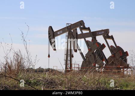 Falls City, États-Unis. 23 février 2024. Vérins de pompe à huile sur une plate-forme de puits près de la ville de Falls City, Texas, États-Unis, le 23 février 2024. Falls City et le comté environnant de Karnes est l'un des 30 comtés qui composent la zone connue sous le nom de zone de production de pétrole et de gaz de schiste Eagle Ford. Récemment, la région autour de Falls City a connu une augmentation de l'activité sismique, y compris 23 tremblements de terre depuis le 11 février 2024. Les experts ont lié de nombreux tremblements de terre au Texas au processus d'extraction de pétrole et de gaz connu sous le nom de fracturation hydraulique. (Photo de Carlos Kosienski/Sipa USA) crédit : Sipa USA/Alamy Live News Banque D'Images