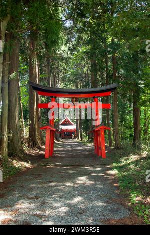 Torii, un petit sanctuaire situé dans une zone boisée à Motosu dans Fujikawaguchiko, Yamanashi, Japon. Banque D'Images