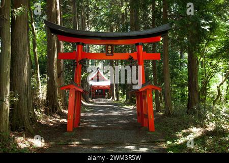 Torii, un petit sanctuaire situé dans une zone boisée à Motosu dans Fujikawaguchiko, Yamanashi, Japon. Banque D'Images