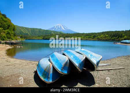 Bateaux au lac Saiko, l'un des Fuji Five Lakes.in Fujikawaguchiko, Japon. Banque D'Images