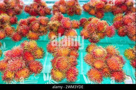 Exposition de fruits Rambutan au marché municipal de Suva, Fugalei Street, Apia, île d'Upolu, Samoa Banque D'Images