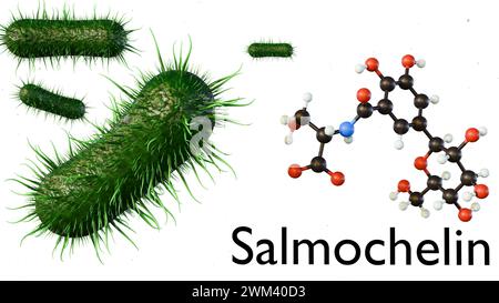 3e rendu de la molécule de salmochéline, entérobine produite par les espèces de Salmonella Banque D'Images