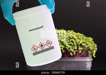 Récipient pour herbicide paraquat Banque D'Images