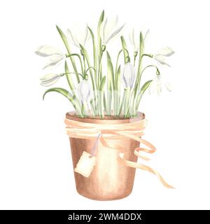 Gouttes de neige blanches dans un pot de fleur en argile avec des rubans et étiquette, illustration aquarelle. Main isolée dessinée d'primevre printanière. Modèle de dessin botanique f Banque D'Images