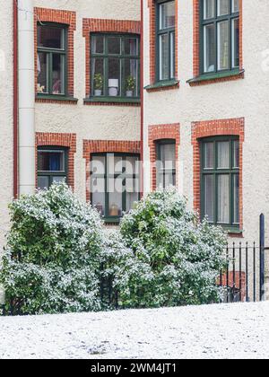 La neige fraîche recouvre légèrement les arbustes verts situés en face d'un immeuble classique avec des fenêtres distinctives et des détails en brique à Gothenbur Banque D'Images