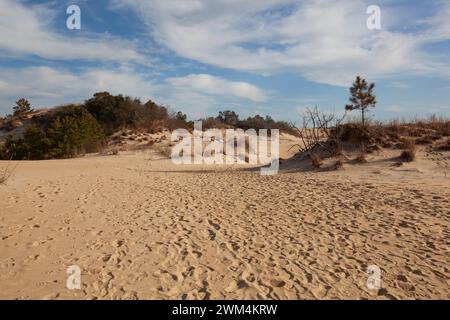 Une vue panoramique sur les dunes de sable au parc national de Jockey's Ridge dans les Outer Banks en Caroline du Nord. Banque D'Images