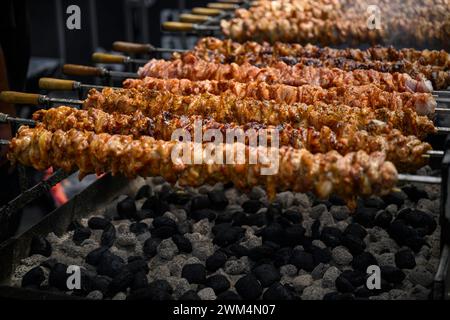 Melbourne, Australie. 24 février 2024. Une stalle de fournisseur vend de la viande grillée. Le Festival des antipodes de Melbourne est la plus grande célébration de la culture grecque en Australie. Le festival de deux jours propose des expositions culturelles, des danses grecques traditionnelles, des spectacles de musique live et une cuisine grecque authentique de vendeurs locaux. (Photo de George Chan/SOPA images/SIPA USA) crédit : SIPA USA/Alamy Live News Banque D'Images