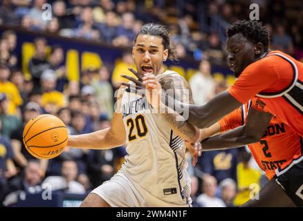 Haas Pavilion Berkeley Calif, États-Unis. 22 février 2024. Le gardien californien Jaylon Tyson (20 ans) se dirige vers le panier pendant le match de basket-ball masculin de la NCAA entre les Oregon State Beavers et les Golden Bears de Californie. La Californie a battu l'Oregon State 81-73 au Haas Pavilion Berkeley Calif. Thurman James/CSM/Alamy Live News Banque D'Images