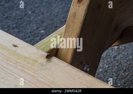 Gros plan de joint sur un banc de pique-nique pour les touristes dans un parc local dans le quartier Queens University de Belfast Banque D'Images