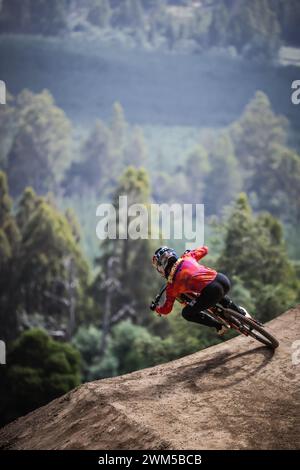 Maydena, Tasmanie, Australie. 24 février 2024. Maydena, AUSTRALIE - 24 FÉVRIER : Laurie Groenland de Grande-Bretagne lors des essais finaux au Red Bull Hardline Tasmania le 24 février 2024 à Maydena, Australie. (Crédit image : © Chris Putnam/ZUMA Press Wire) USAGE ÉDITORIAL SEULEMENT! Non destiné à UN USAGE commercial ! Banque D'Images