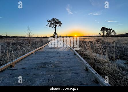 Godalming, Royaume-Uni. 24 février 2024. Jeudi Common, Elstead. 24 février 2024. Un début de journée glacial pour les Home Counties. Lever du soleil sur Elstead Moat à jeudi commun près de Godalming dans le Surrey. Crédit : james jagger/Alamy Live News Banque D'Images