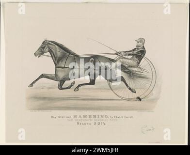Hambrino étalon baie, par Edward Everett Banque D'Images
