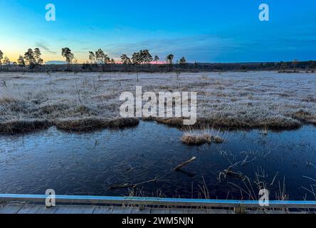 Godalming, Royaume-Uni. 24 février 2024. Jeudi Common, Elstead. 24 février 2024. Un début de journée glacial pour les Home Counties. Lever du soleil sur Elstead Moat à jeudi commun près de Godalming dans le Surrey. Crédit : james jagger/Alamy Live News Banque D'Images