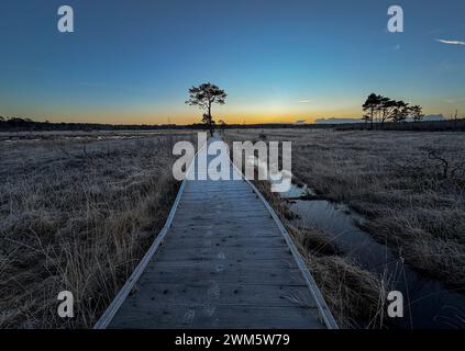 Godalming, Royaume-Uni. 24 février 2024. Jeudi Common, Elstead. 24 février 2024. Un début de journée glacial pour les Home Counties. Lever du soleil sur Elstead Moat à jeudi commun près de Godalming dans le Surrey. Crédit : james jagger/Alamy Live News Banque D'Images