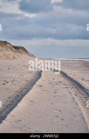 Traces de pneus sur la plage au danemark. Photo de haute qualité Banque D'Images