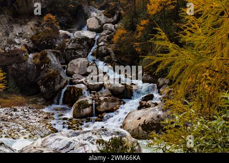 Cascade dans la forêt jaune thetumn vue pendant Kanchenjunga trek dans l'Himalaya du Népal Banque D'Images