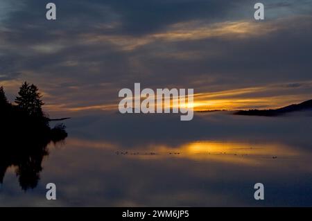 lac Quinault au coucher du soleil, parc national olympique, péninsule olympique, Washington Banque D'Images