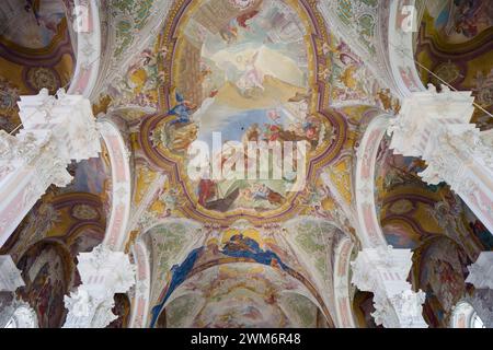 Église Saint-Pierre / Peterskirche, Mayence, Allemagne un bâtiment rococo de 1749-56, bombardé pendant la guerre et restauré fin C20. Intérieur avec voûtes ornées de fresques. Banque D'Images