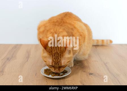 Le chat rouge mange sa nourriture dans un bol sur un plancher de bois. Banque D'Images