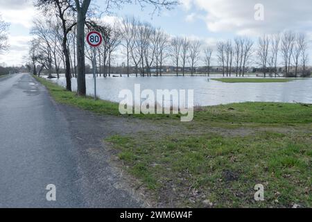 Prairies inondées dans l'Altmark, Saxe-Anhalt, Allemagne Banque D'Images
