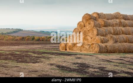 Rouleaux de foin dans la campagne vallonnée d'automne. Balles de fourrage pour animaux empilées sur le champ à la fin de la saison agricole Banque D'Images