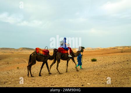 Chameau dans le désert du maroc Banque D'Images
