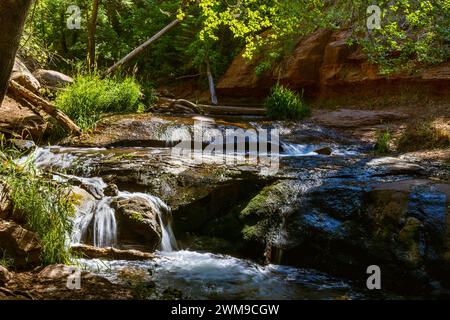 Des cascades d'eau s'écoulent sur des couches de roches moussues le long du ruisseau Tonto dans le pays de Mogollon Rim en Arizona. Banque D'Images