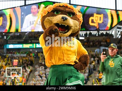 Waco, Texas, États-Unis. 24 février 2024. La mascotte de Baylor Bears lors de la deuxième moitié du match de basket-ball de la NCAA entre les Cougars de Houston et les Bears de Baylor au Foster Pavilion à Waco, au Texas. Matthew Lynch/CSM/Alamy Live News Banque D'Images