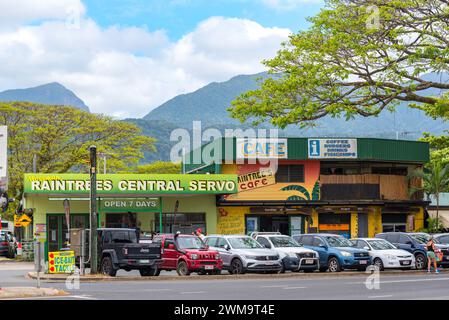 Raintrees Central Servo et Jamaican Raintrees (Samanea saman) dans la ville de Mossman dans le nord du Queensland, en Australie Banque D'Images