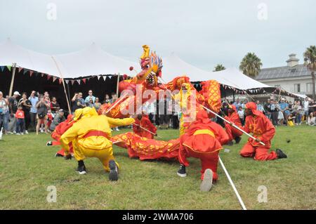 Cape Town, Afrique du Sud. 24 février 2024. Les gens jouent la danse du dragon lors d'une foire célébrant le Festival des lanternes au Cap, en Afrique du Sud, le 24 février 2024. Crédit : Wang Lei/Xinhua/Alamy Live News Banque D'Images