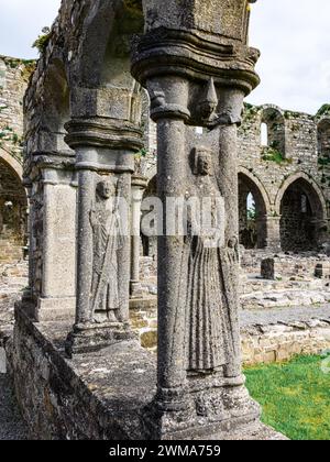 Jerpoint Abbey tipperary Irlande anciennes sculptures de cloître uniques représentant des saints et des ornements, irréguliers, usés et pourris, mais restaurés Banque D'Images