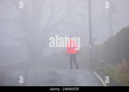 Flintshire, pays de Galles du Nord, Royaume-Uni. Météo britannique. 25 février 2024, temps glacial à travers le nord du pays de Galles pendant la nuit laissant une nuit de gel et de brouillard glacial. Un promeneur de chiens dans le village de Lixwm ce matin dans le brouillard glacial. ©DGDImages/Alamy Live News Banque D'Images