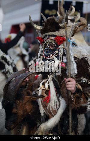 Isernia, Italie. 24 février 2024 - deuxième édition du carnaval européen des masques zoomorphes - Banque D'Images