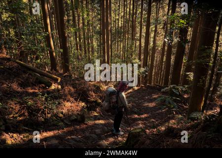 Trekking à travers les forêts profondes de la route de pèlerinage de Kumano Kodo, Wakayama, Japon Banque D'Images