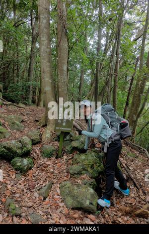 Trekking à travers les forêts profondes de la route de pèlerinage de Kumano Kodo, Wakayama, Japon Banque D'Images