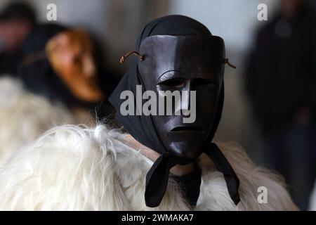 Isernia, Italie. 24 février 2024 - deuxième édition du carnaval européen des masques zoomorphes - Banque D'Images