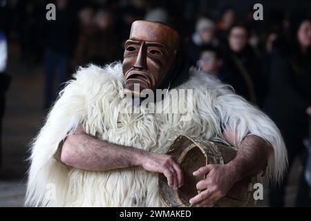 Isernia, Italie. 24 février 2024 - deuxième édition du carnaval européen des masques zoomorphes - Banque D'Images