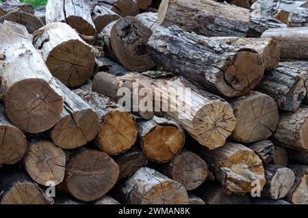 Pile de bois naturel empilé, fond de bûches en bois, vue de face. Vieilles bûches pour un feu ou un poêle. Banque D'Images