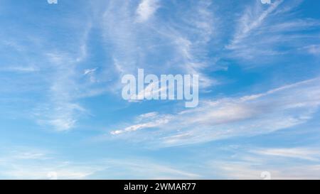 Fond blanc clair dégradé de nuage de ciel bleu d'été. Beauté clair nuageux au soleil calme fond d'air lumineux du soir. Banque D'Images