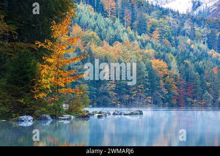 À l'aube, forêt en automne au lac alpin Vorderer Langbathsee. Ebensee, haute-Autriche. Europe. Banque D'Images