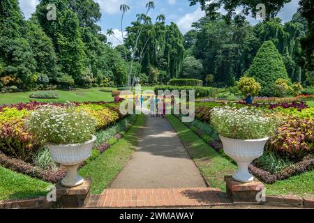 La frontière de Coleus dans le jardin de fleurs près de la maison d'orchidées au Royal Botanical Gardens à Peradeniya près de Kandy au Sri Lanka. Banque D'Images