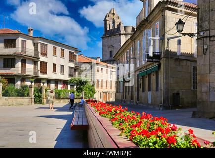 Du vrai Basilique Menor de Santa Maria la Mayor, la Plaza de Alonso de Fonseca, Pontevedra, Galice, Espagne Banque D'Images