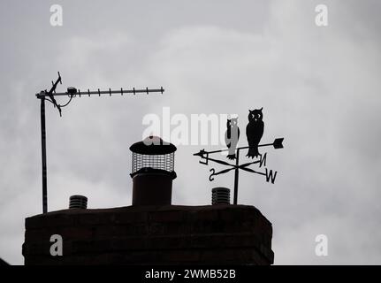 Girouette avec hiboux, Warwickshire, Royaume-Uni Banque D'Images