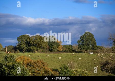 vue de l'église de hanbury sur le paysage du worcestershire - c'est censé être l'endroit où la série radio the archers est placée angleterre royaume-uni Banque D'Images