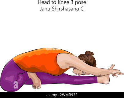 Jeune femme faisant du yoga Janu Shirshasana C. tête au genou 3 pose. Difficulté intermédiaire. Illustration vectorielle isolée. Illustration de Vecteur