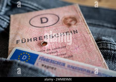 Vergleich Alter und Neuer eu-Führerschein in Jeans Tasche 25.02.24, Limbourg : Symbolfoto, Illustrationsbild, Symbolbild, Illustrationsfoto Vergleich Alter und Neuer eu-Führerschein in Jeans Tasche Das Bild zeigt den direkten Vergleich zwischen dem neuen eu-Scheckkartenführerschein und dem alten rosa Papierführerschein, die gemeinsam in der Tasche einer schwarzen Jeans platzisind. Diese Darstellung veranschaulicht den Übergang gemäß der Dritten eu-Führerscheinrichtlinie, welche vorschreibt, dass alle vor dem 19. Januar 2013 ausgestellten Pkw- und Motorradführerscheine bis zum 19. Januar 2033 Banque D'Images